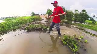 Remove Floating Plants Clogged Massive Dam Drain Water By Hand So Hot