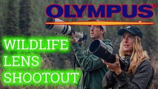 Olympus PRO lens Wildlife Shootout. 40-150 f2.8 | 300 f4 | 150-400 f4.5