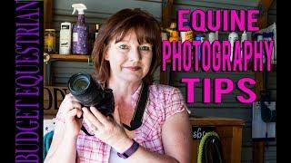 Equine Photography Tips and Tricks