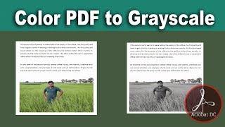 How to convert Color PDF Document to grayscale using Adobe Acrobat Pro