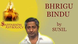 Sunil on Bhrigu Bindu in Vedic Astrology