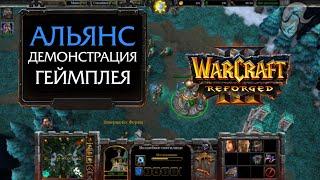 Warcraft III: Reforged BETA | Альянс - Демонстрация геймплея | Без комментариев