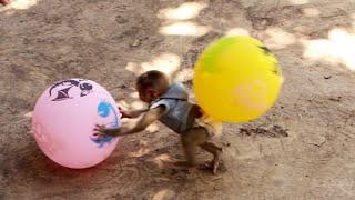 Princes Boki Request Dad Playing Balloon, Boki Reaction to Playing Balloon