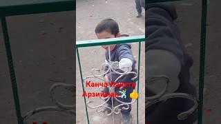 #рек ТЕЗДА КУРИНГ БОЛАЧАНИ