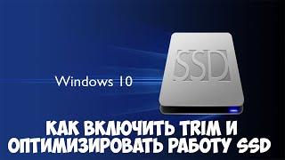 Как включить TRIM в Windows 10 для SSD. Оптимизация работы диска