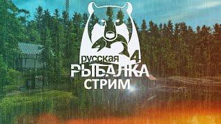 Русская Рыбалка 4  стрим!! Общаемся, Ловим