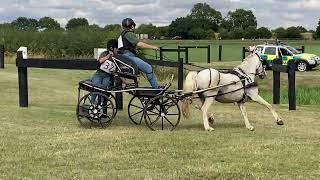 Single pony obstacle driving, Midlands Carriagedriving, Onley 2022