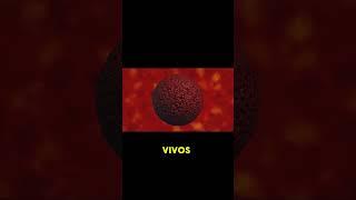 Los Virus: Entidades Controversiales