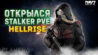 DAYZ STALKER PVE | ОТКРЫЛСЯ ПРОЕКТ HELLRISE PVE | СТАРТ С ДЕРЕБАСА #1