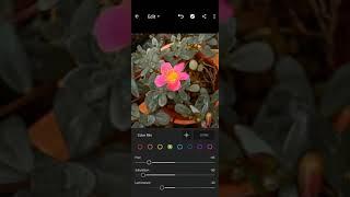 nature Ka new editing in lightroom editing and song NCS music no copyright sounds 