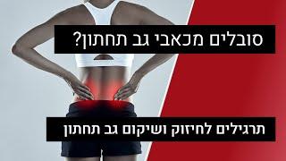 כאבי גב תחתון | חיזוק גב תחתון | תרגילים לחיזוק שרירי ליבה הקלה על כאבי גב תחתון | עמיר שפר