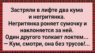 Застряли в Лифте Два Кума и Негритянка! Сборник Свежих Анекдотов! Юмор!