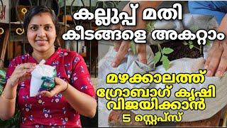 മഴക്കാലത്ത് ഗ്രോബാഗ് കൃഷി വിജയിക്കാൻ 5 സ്റ്റെപ്‌സ്|കല്ലുപ്പ് മതികീടങ്ങളെഅകറ്റാം|growbag filling tips