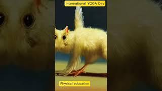 International YOGA Day #yoga #yogaworld #yogapractice #jeevanyoga #yogalife