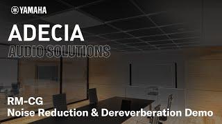 ADECIA AUDIO SOLUTIONS: RM-CG Noise Reduction & Dereverberation Demo