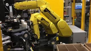 Fanuc LRMate Robot Used for Automated Packing