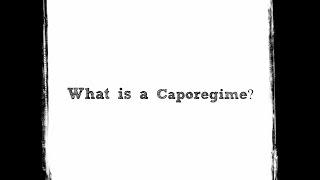 What is a Caporegime? – Mafia Family Structures