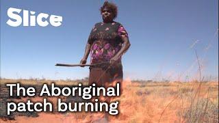 How Aboriginal Australians use fire to help the ecosystem | SLICE