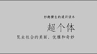 《超個體》：社會昆蟲的美麗、優雅和奇妙