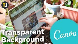 How to Make the Background Transparent in Canva