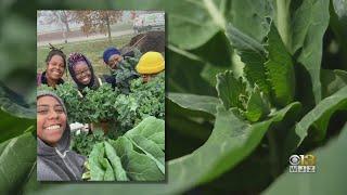 Farm Alliance of Baltimore empowers communities through sustainable urban agriculture