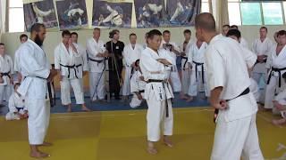 Yahara Sensei seminar. Moscow 2013