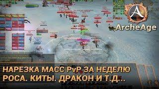 ArcheAge 4.0. Роса. Китобои. Солнечка. Кладбище драконов. Нарезка масс-PvP за неделю