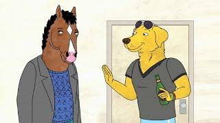 Crossover Episode Compilation - Bojack Horseman