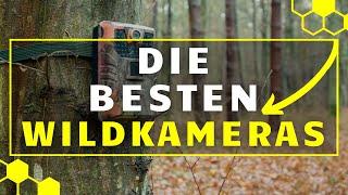 Wildkamera TEST - Die besten Wildkameras im großen Vergleich!