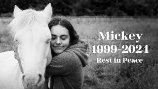 Mickey 1999-2024 Rest in Peace