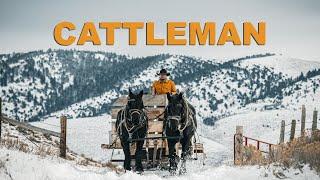 Cattleman | A Stonefield Ranch Film