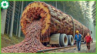 Extreme Dangerous Big Logging Wood Truck Driving Skill | Biggest Heavy Machinery Machines #2