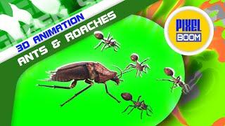 Green Screen Ants and Roaches 3D Animation PixelBoom