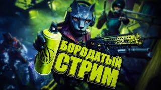 Играю Соло РМ! - Читаю 99% чата!