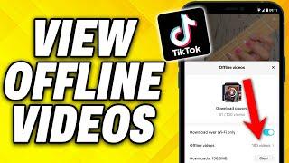 How To View Offline Videos on TikTok 2024