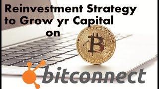 How To Reinvest in Bitconnect