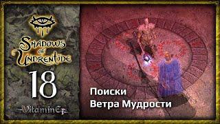 Поиск Ветра Мудрости- Neverwinter Nights: Shadows of Undrentide  - Прохождение за барда - #18