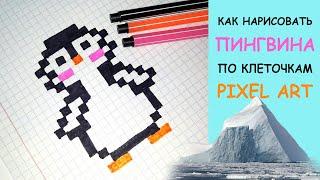 Как нарисовать ПИНГВИНА по клеточкам. #8 - Pixel art.