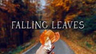 Falling Leaves  - An Autumn Aesthetic Indie/Folk/Acoustic Playlist