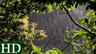 Lluvia HD | Sonido de Lluvia y Sonidos de la Naturaleza | Dormir