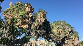 PANDORA: THE WORLD OF AVATAR OPENING DAY VLOG!