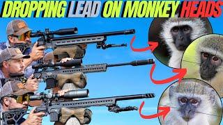 DROPPING LEAD ON MONKEY HEADS WITH FX DRS PRO AIRGUN I LONG RANGE MONKEY HUNTING CARNAGE