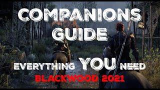 ESO Companions Guide & Builds 2021: EVERYTHING You Need To Know | The Elder Scrolls Online Blackwood