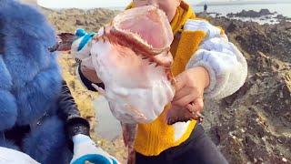 Monkfish with a huge mouth, Xiao Zhang wants to see if the mouth of the fish can fit her head