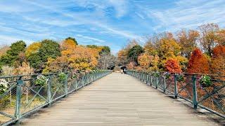 Andersen Park ・ アンデルセン公園船橋千葉日本