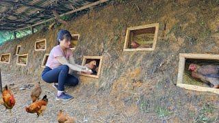 Build Multiple Nests for Hens to Lay Eggs - phungthithu