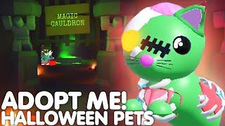 *NEW* HALLOWEEN PETS EVENT 2024! ADOPT ME ALL NEW HALLOWEEN PET IDEAS! (CONCEPTS) ROBLOX