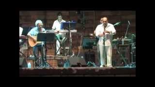 Αντώνης Βαρδής & Music Therapy (Μύλος Live-27-07-2011)