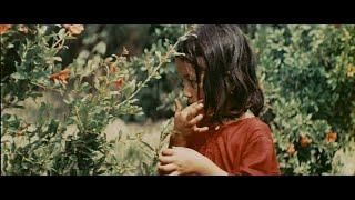 Д/ф "Сад" (1967) [4K] реж. Бекеш Абдылдаев