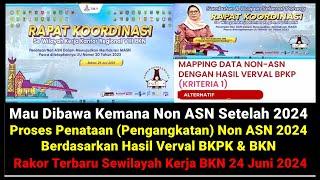 Terbaru Proses Penataan (Pengangkatan) Non ASN Tahun 2024 Berdasarkan Hasil Akhir Verval BKN & BPKP